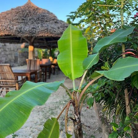 Mbuyuni Lodge Nungwi Eksteriør bilde